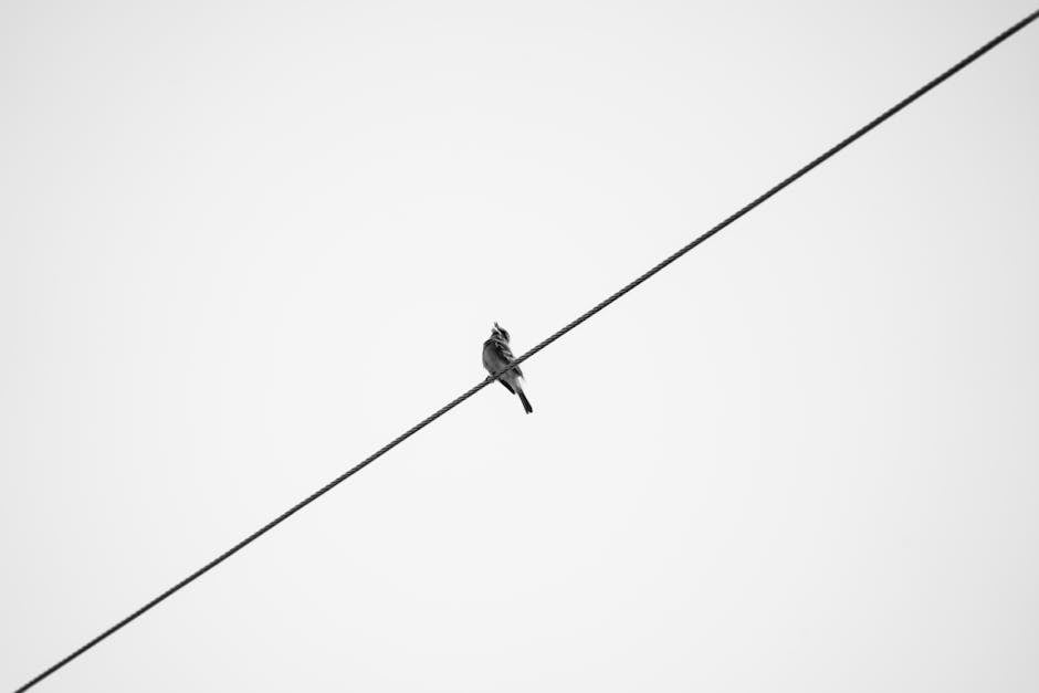 A lone bird perches on a wire against a stark black and white backdrop, showcasing minimalist beauty.